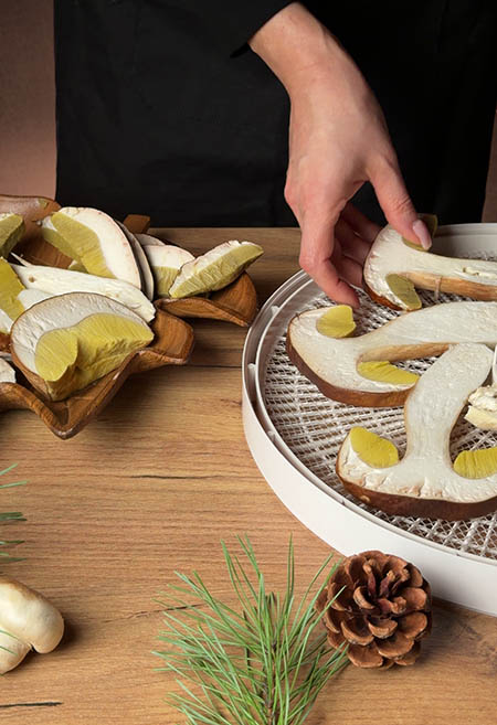 Порізані білі гриби на лотку сушарки Ezidri